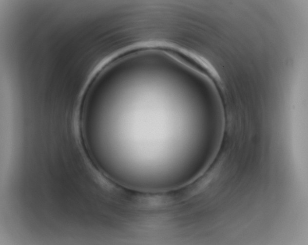 X0000113580895200909251153