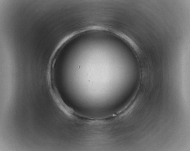 X0000113580902200909251152