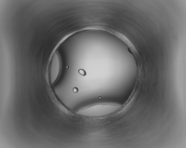 X0000113580908200909251152