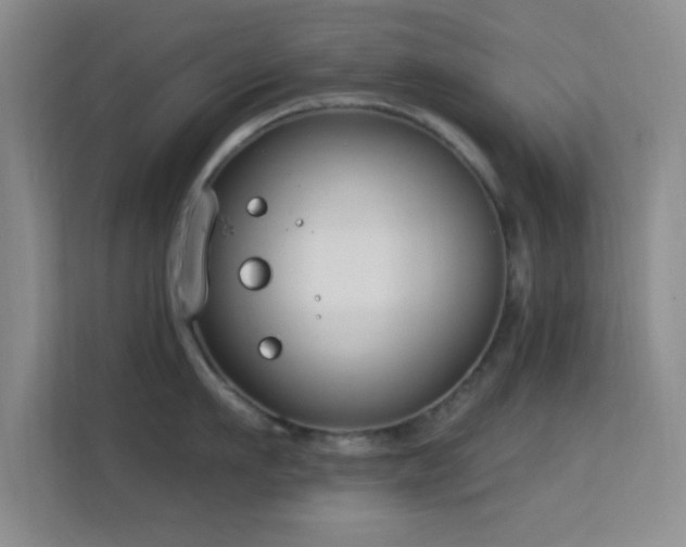 X0000113580911200909251152