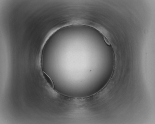 X0000113580912200909251152