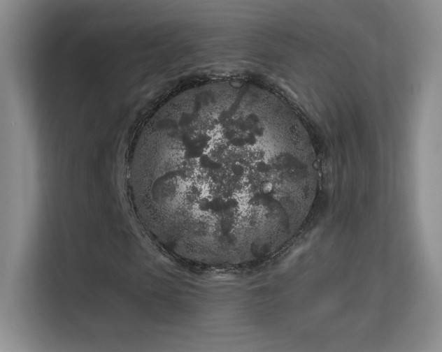 X0000113580913200909251152