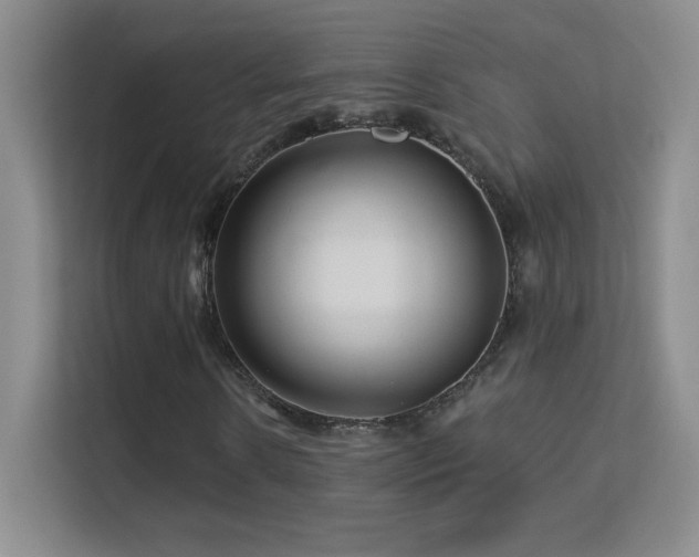 X0000113580914200909251152