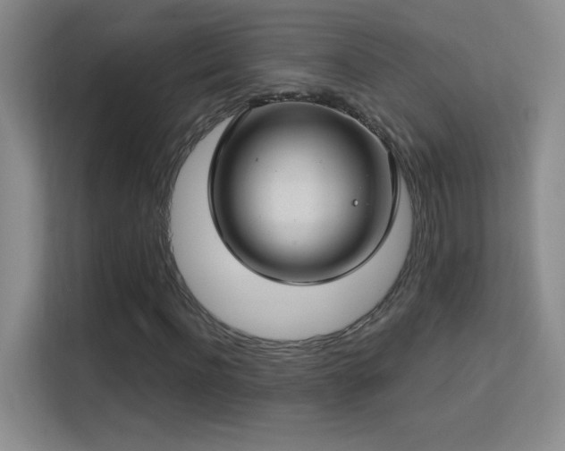 X0000113580916200909251152