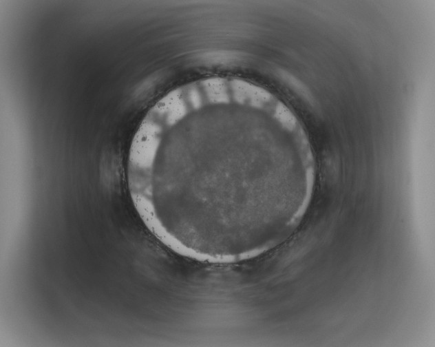 X0000113580918200909251152