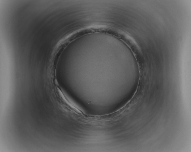 X0000113580920200909251152