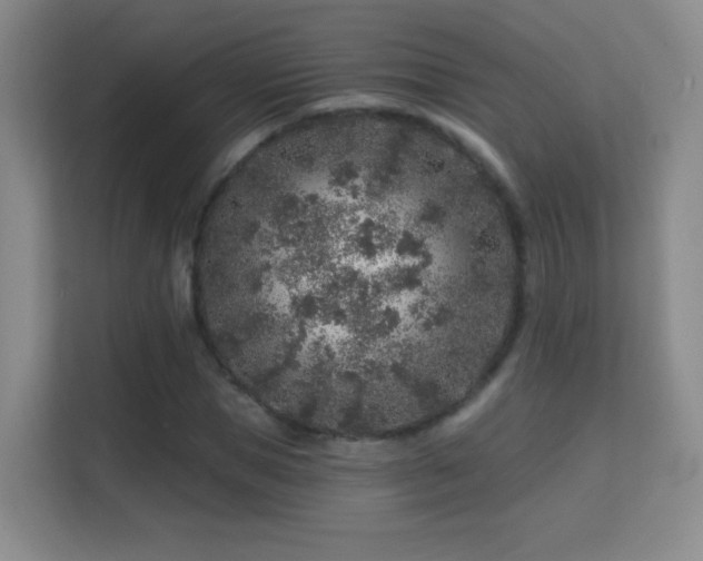 X0000113580921200909251152