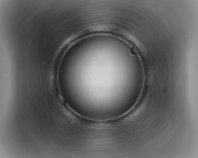 X0000113580922200909251152