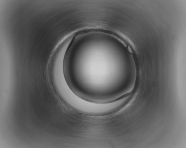 X0000113580925200909251152