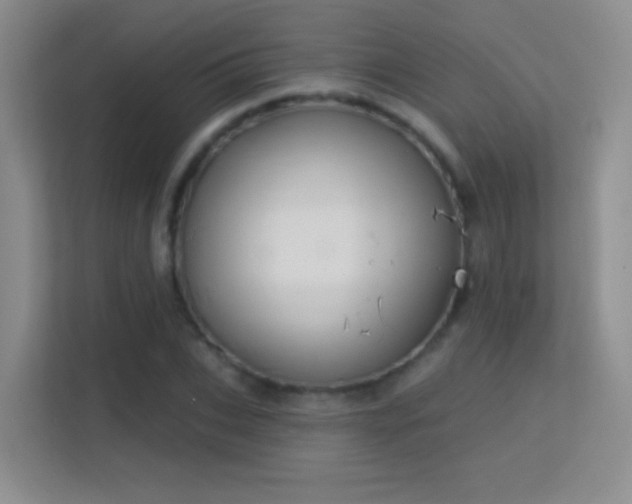 X0000113580927200909251152