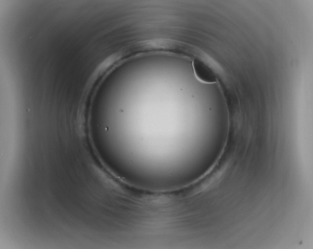 X0000113580930200909251152