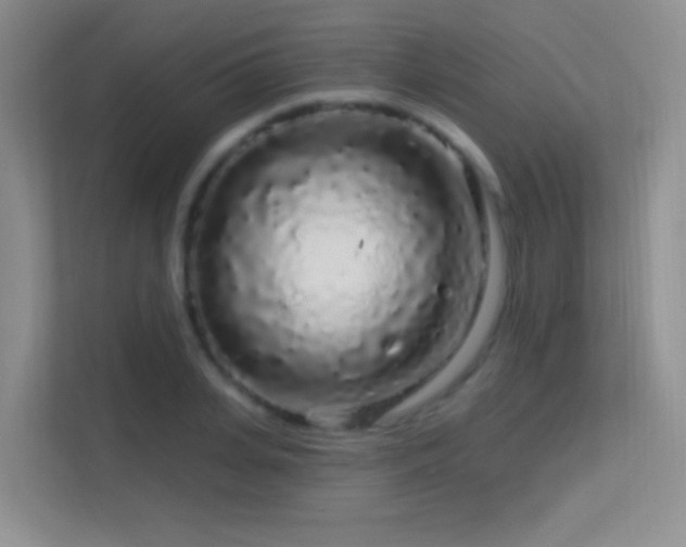 X0000113580935200909251152