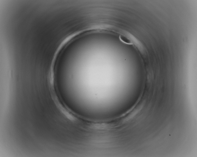 X0000113580940200909251152