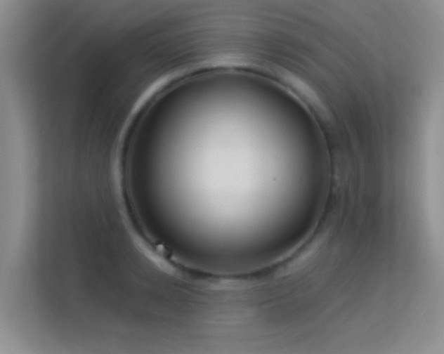 X0000113580942200909251152