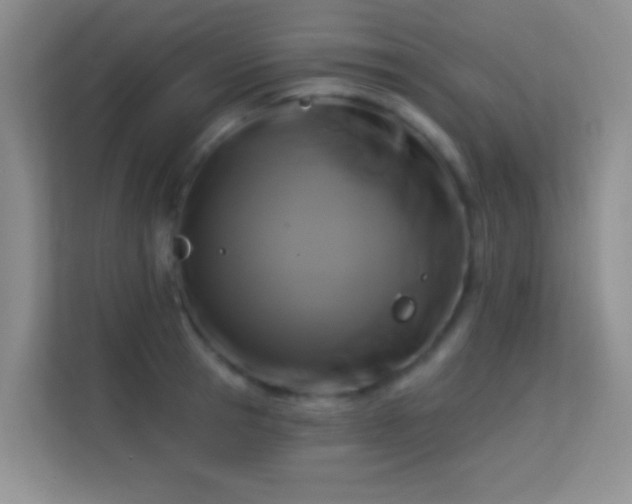 X0000113580945200909251152