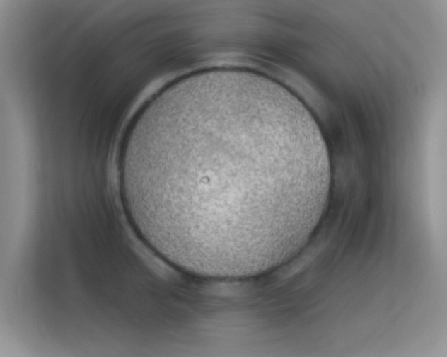 X0000113580950200909251152