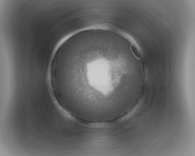 X0000113580952200909251152