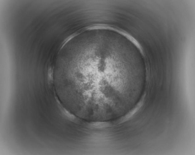 X0000113580953200909251152