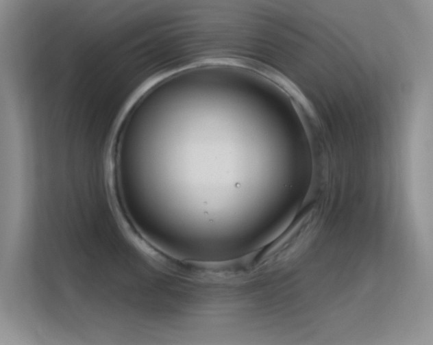 X0000113580955200909251152