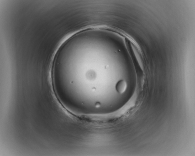 X0000113580959200909251152