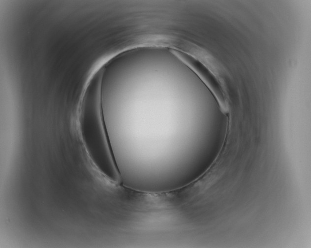 X0000113580960200909251152