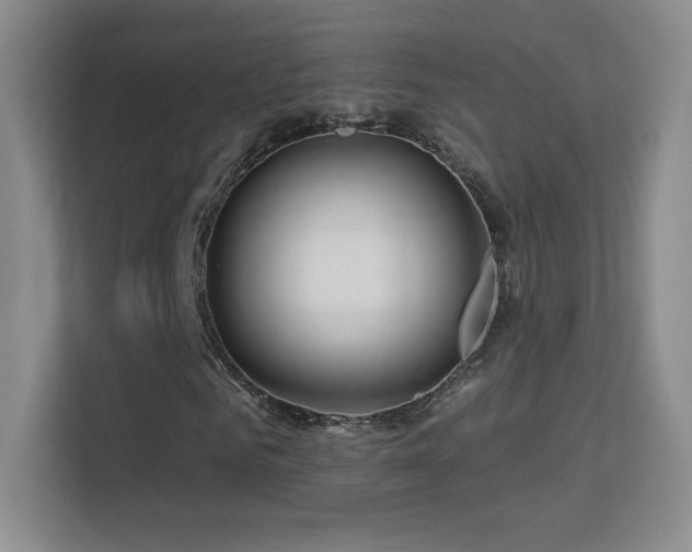 X0000113580961200909251152