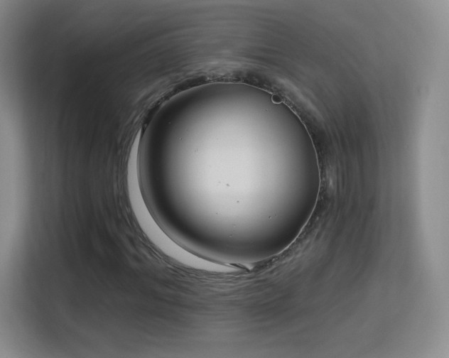 X0000113580964200909251152