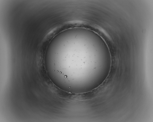 X0000113580967200909251152