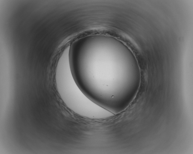 X0000113580968200909251152