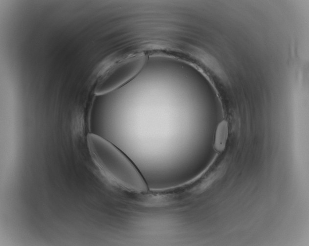 X0000113580969200909251152