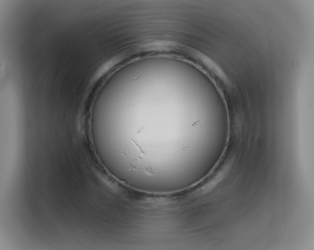 X0000113580970200909251152