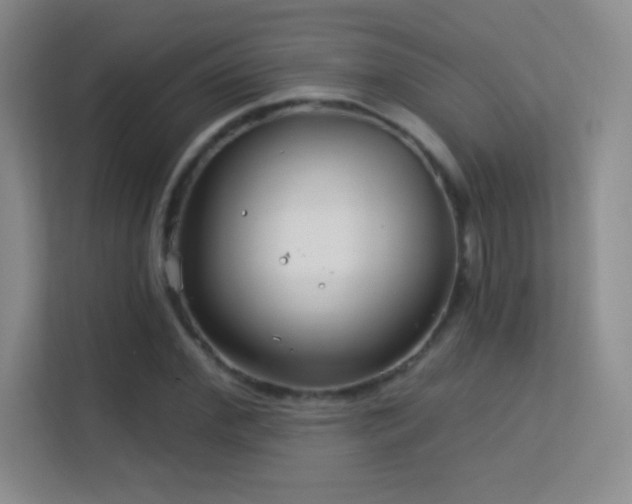 X0000113580972200909251152