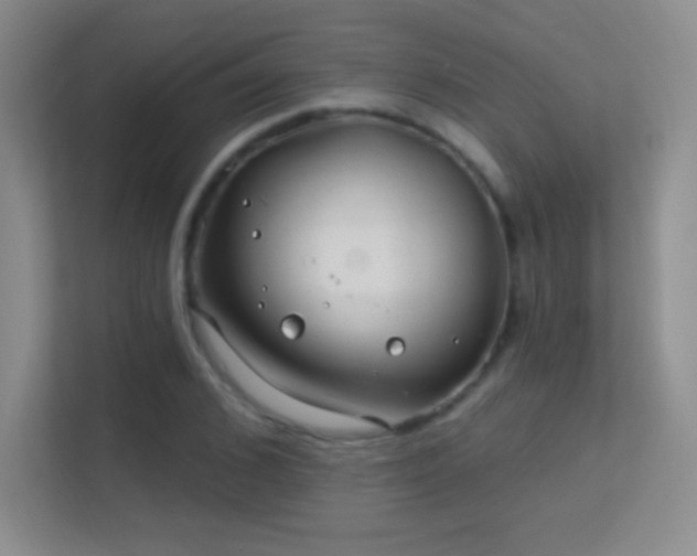 X0000113580976200909251152