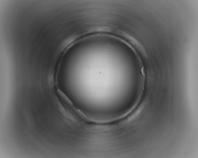 X0000113580977200909251152