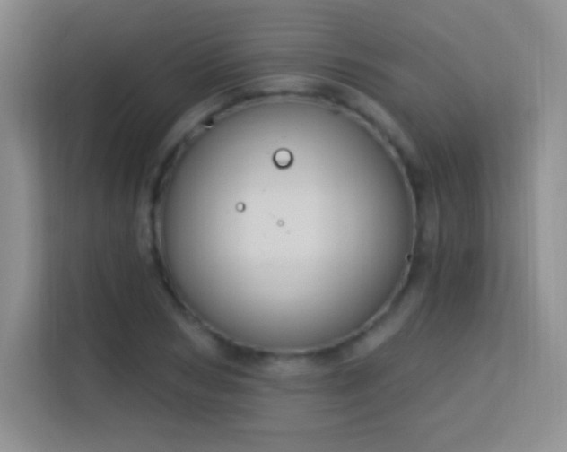 X0000113580978200909251152