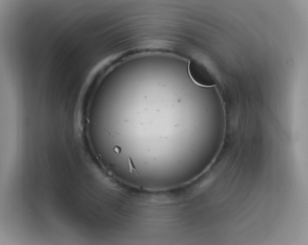 X0000113580979200909251151