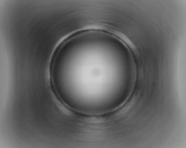 X0000113580980200909251151