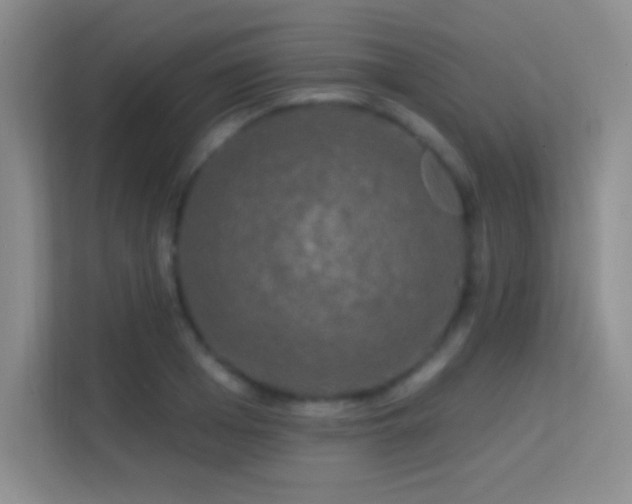 X0000113580985200909251151