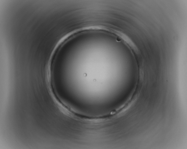 X0000113580988200909251151