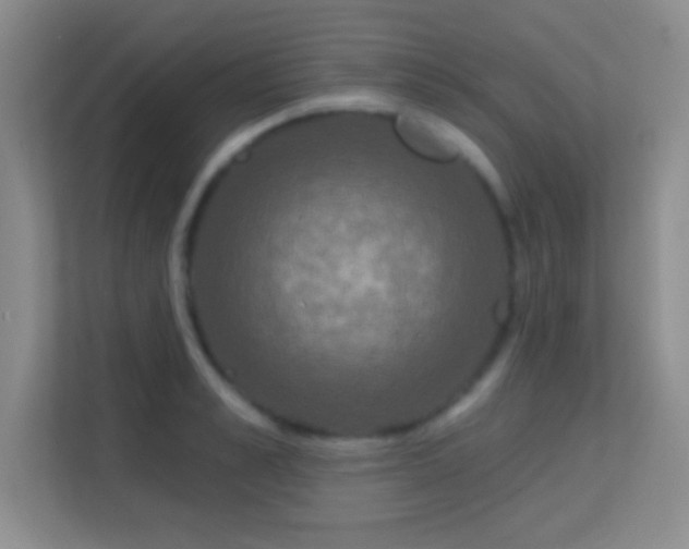 X0000113580989200909251151