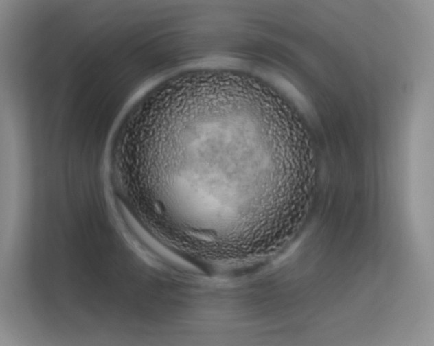 X0000113580990200909251151