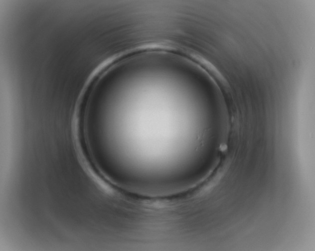 X0000113580991200909251151