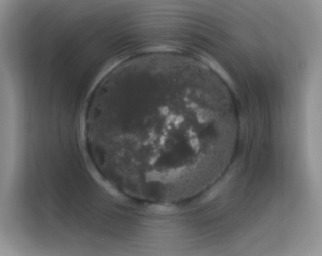 X0000113580994200909251151