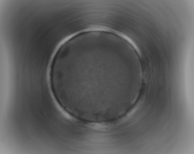 X0000113580995200909251151