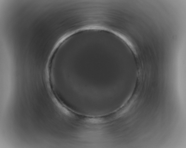 X0000113580998200909251151