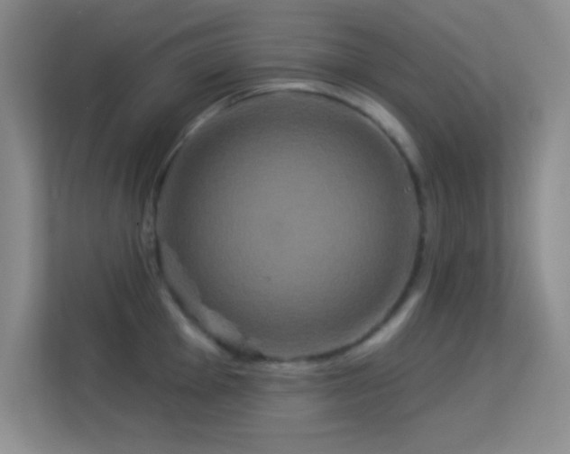 X0000113581001200909251151