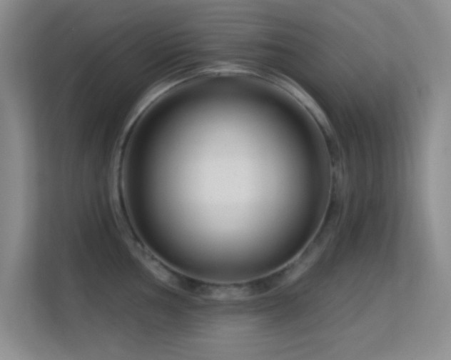 X0000113581002200909251151