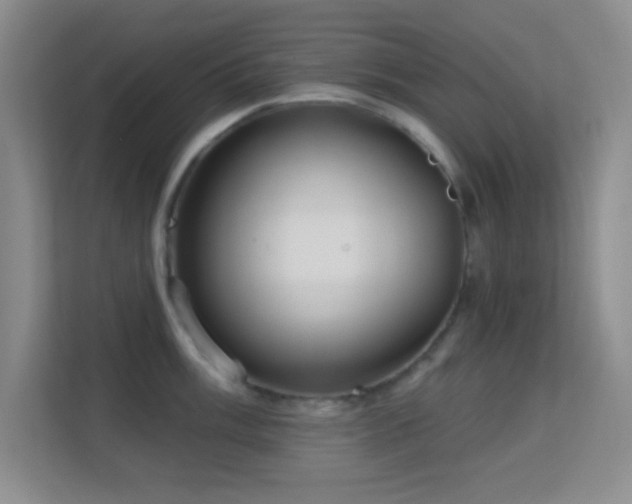 X0000113581003200909251151