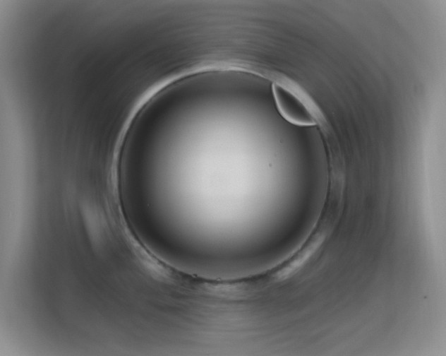 X0000113581004200909251151