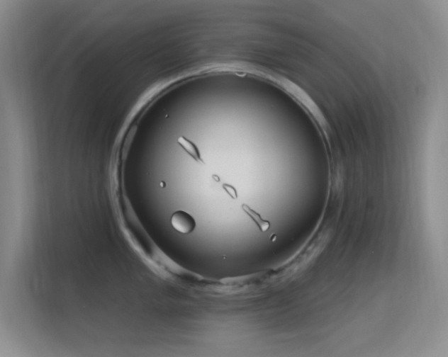 X0000113581005200909251151